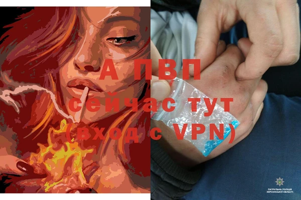 твердый Осташков