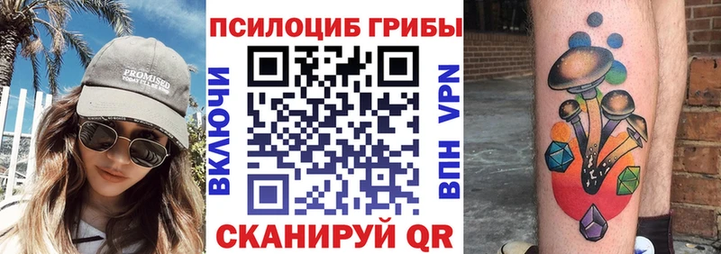 блэк спрут зеркало  Алзамай  Псилоцибиновые грибы Psilocybe  где купить наркоту 